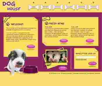黄色宠物类企业网站模板